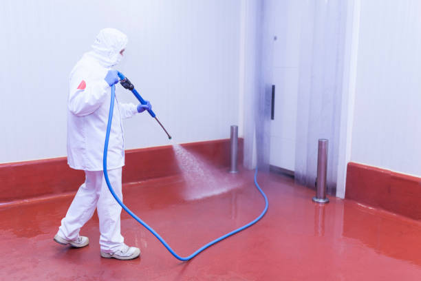 Best Solar Panel Cleaning  in Bellmore, NY
